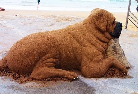 Mann erschafft unglaubliche Skulpturen aus Sand – täuschend echtes Aussehen